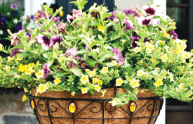 開(kāi)業(yè)花籃一般送幾個(gè)？